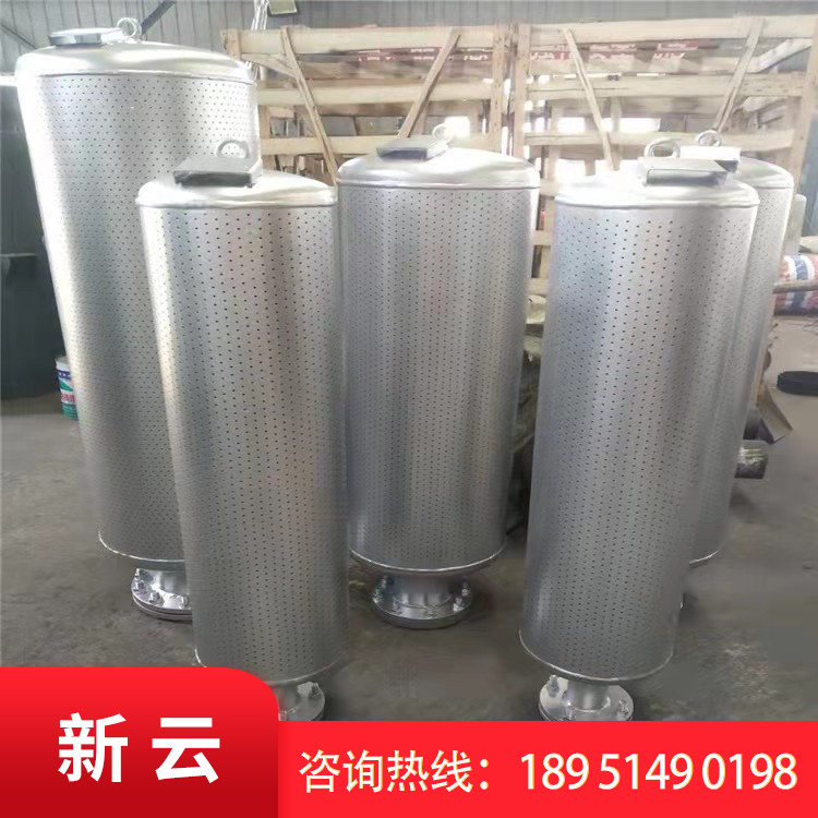 蒸汽吹管消声器 新云定制 管道吹扫消音器 工业阻抗式降噪设备