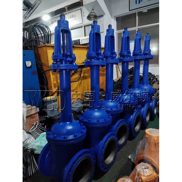 WZ41H德标波纹管闸阀