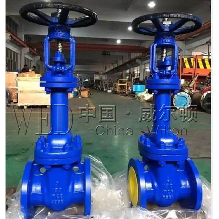 美标波纹管闸阀WZ41H