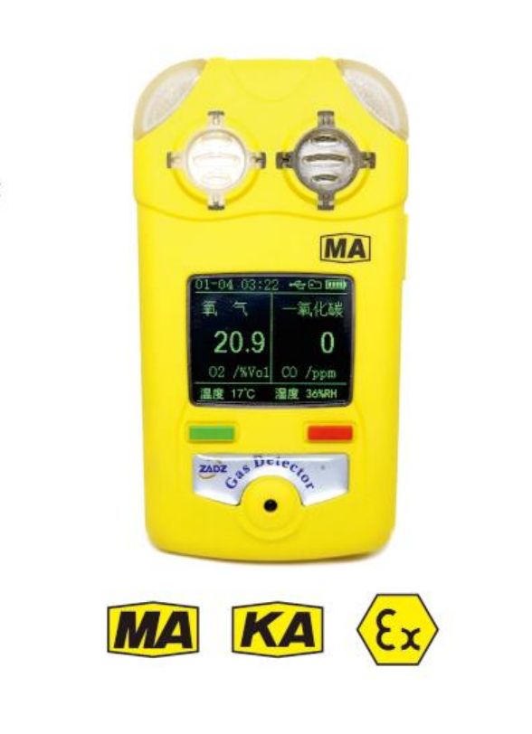 便携式氧气一氧化碳测定器 CYT25/1000