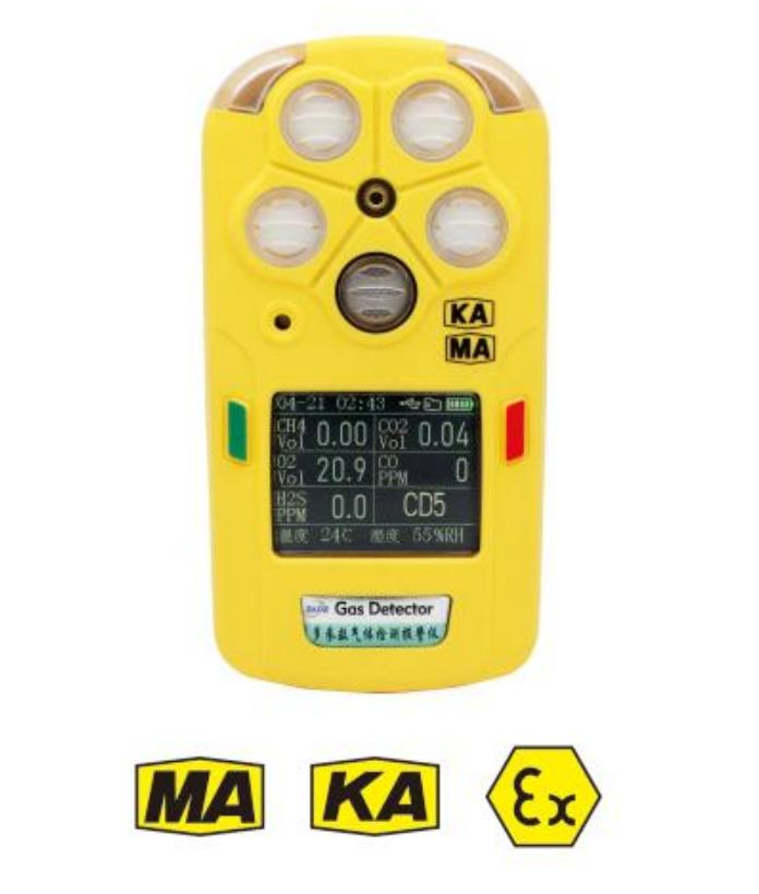 便携式多参数气体测定器(五合一) CD5