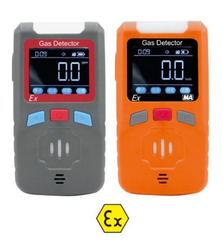 单一气体检测报警仪 ZA10