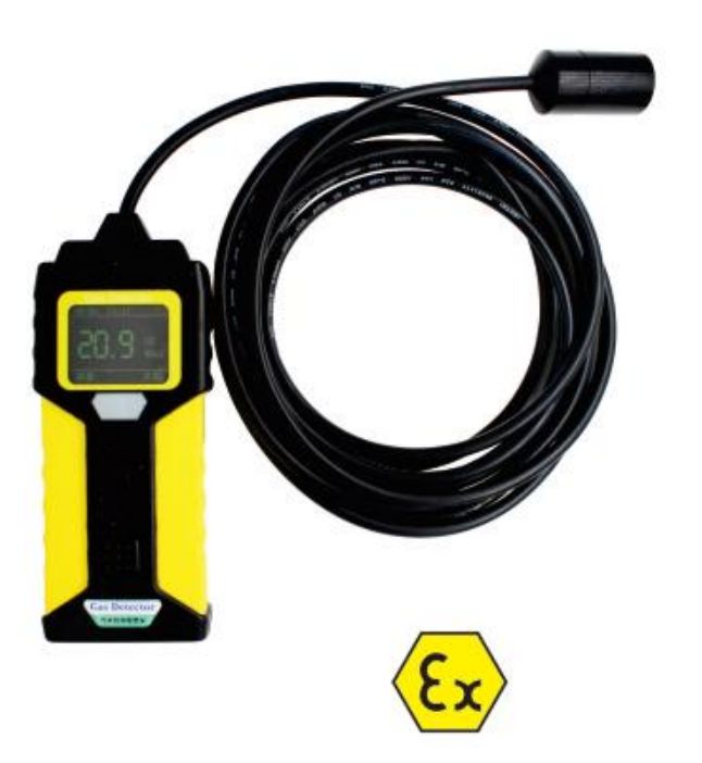 便携式缆线气体检测仪 ZA80