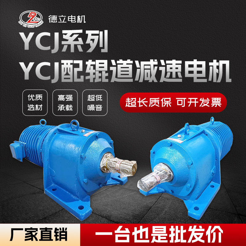 DSZ组合辊道减速机 (39)