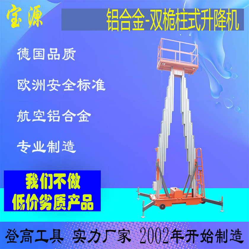 成都宝源 铝合金双桅柱式升降机升降平台梯子源头工厂