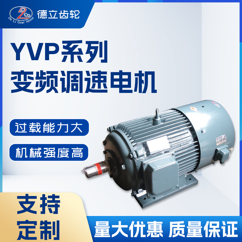YVP /YTSP/VLF变频调速电动机 (19)