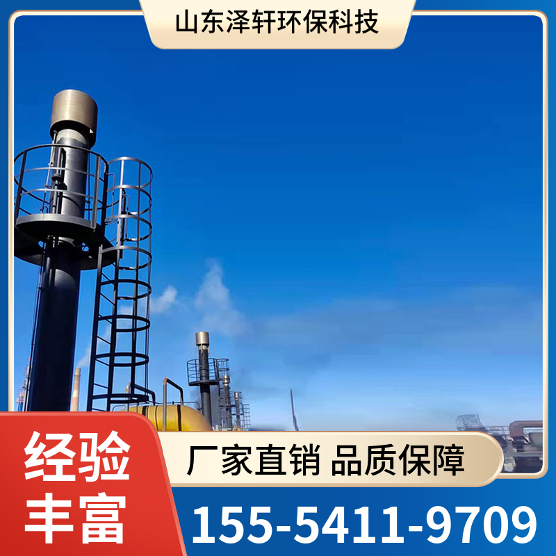 定制高架火炬  高架火炬生产厂家价格 厂家