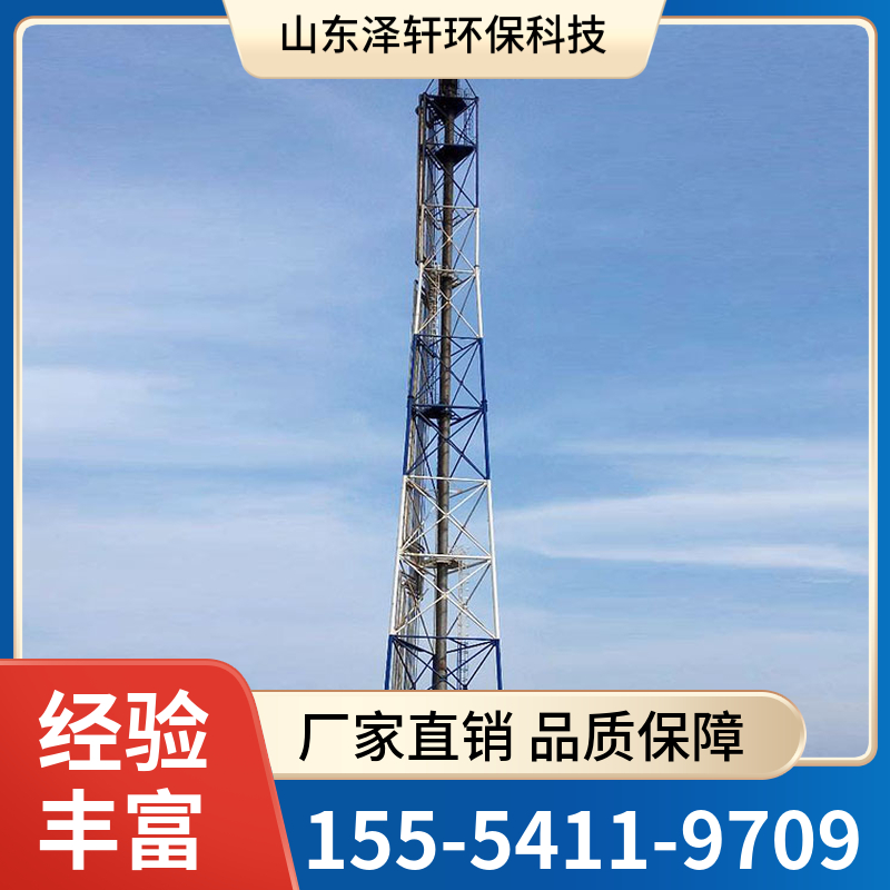 定制高架火炬 高架火炬生产厂家价格泽轩环保