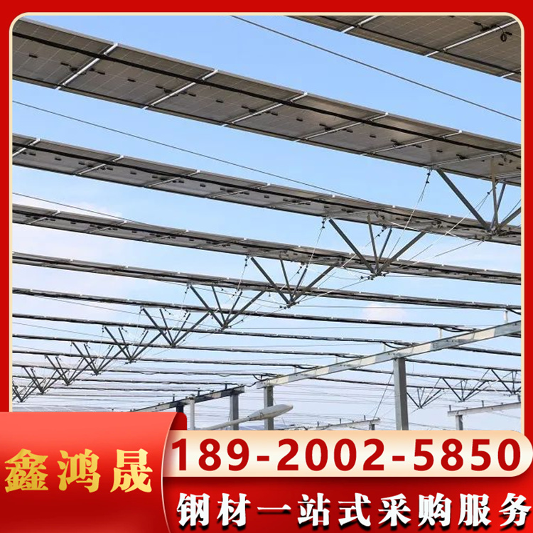柔性支架 (20)