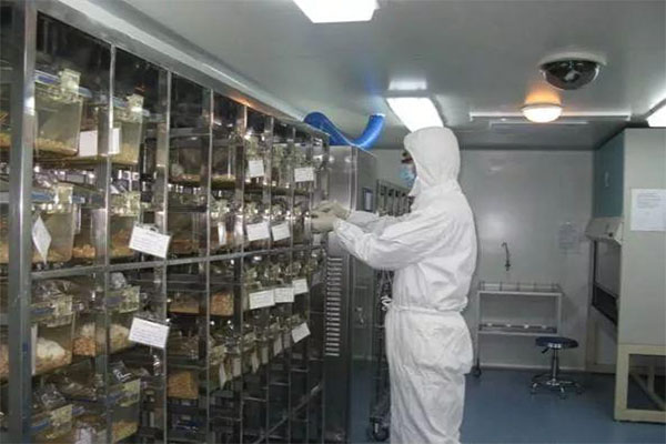 动物房实验室 大型动物实验室 动物房实验室的布局设计