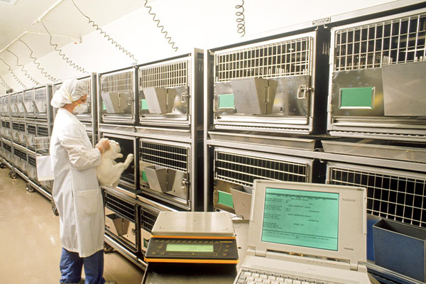 动物房实验室大型动物实验室动物房实验室 布局设计