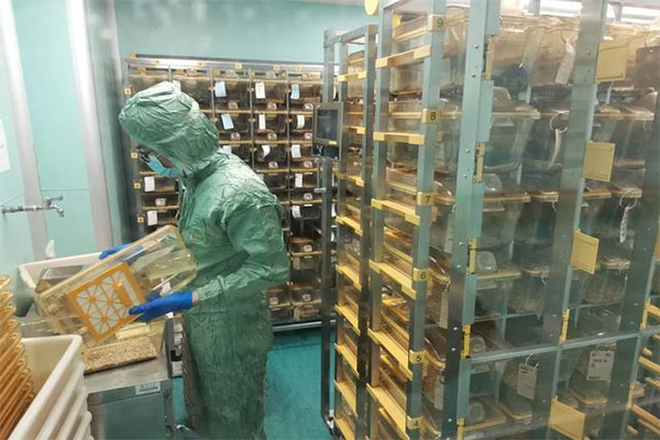 动物房实验室大型动物实验室 动物房实验室布局设计