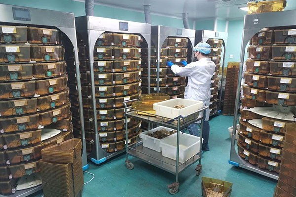动物房实验室 大型动物实验室动物房实验室 布局设计