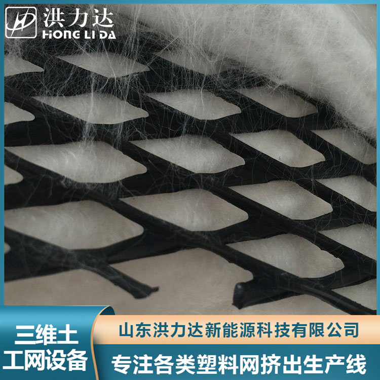 三维土工网设备 (7)