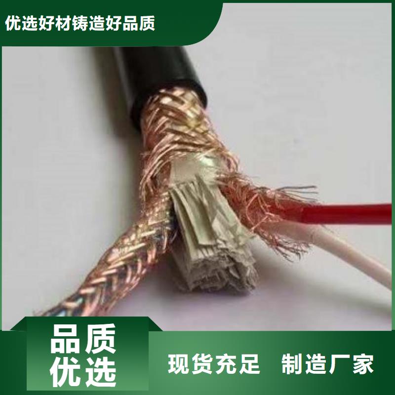 ZR-HYA22 hya23阻燃通信电缆30*2*0.5 HYA53-100*2*0.4