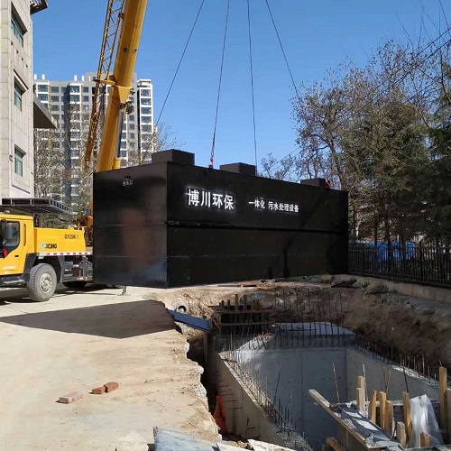 气浮机 臭氧设备 结构紧凑 装置方便 便于移动