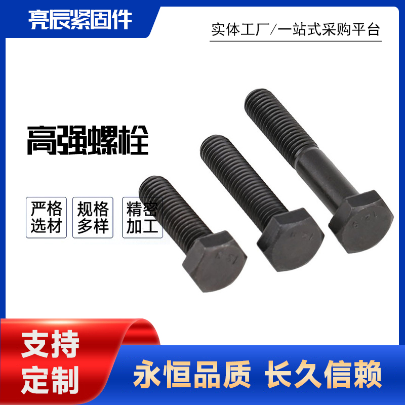 高强度螺栓 (4)
