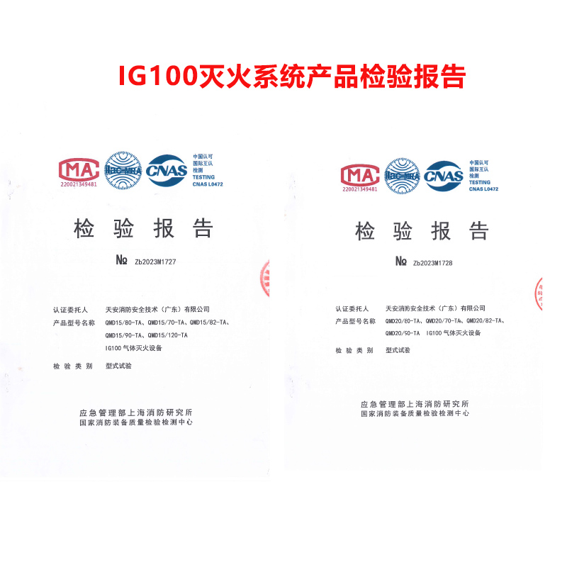 IG100灭火系统 (7)