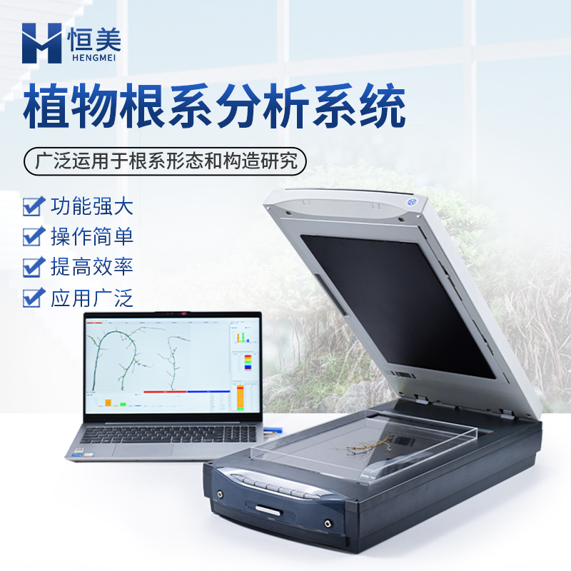 根系分析系统  人工辅助修正