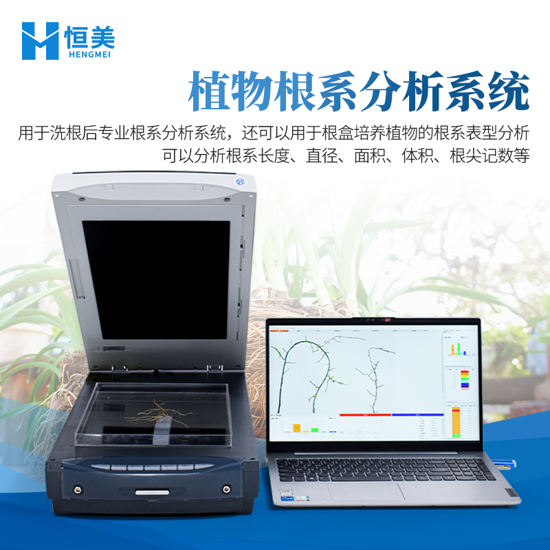 根系分析系统 高精度扫描根系