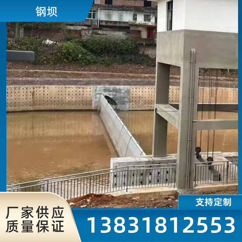 双翻板闸门 液压钢坝 水利升降坝 不锈钢双气缸防腐耐锈蚀