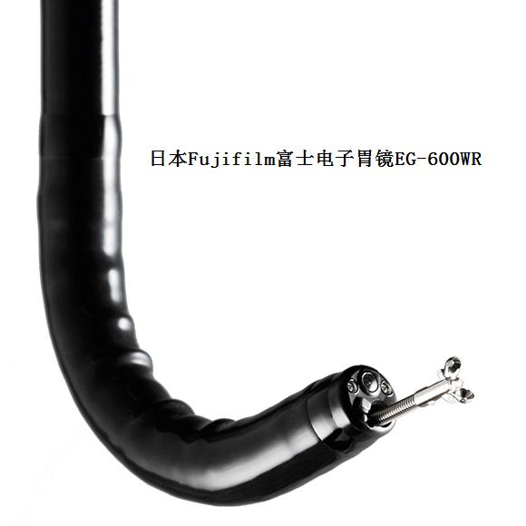 日本Fujifilm富士电子上消化道内窥镜EG-600WR