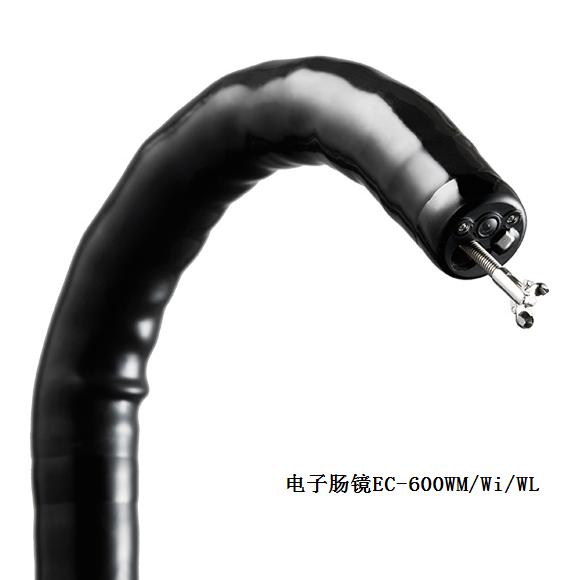 日本富士电子肠镜EC-600WM/Wi/WL