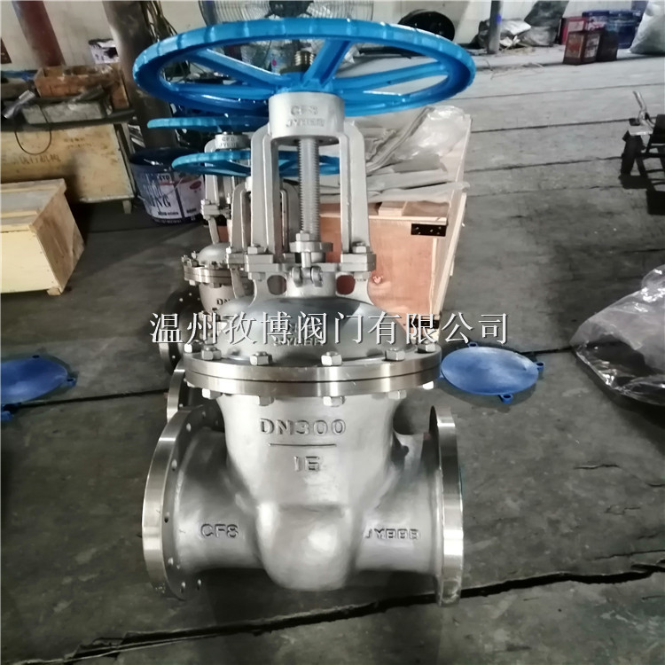 304/316不锈钢法兰闸阀 Z41W-16P Z41W-16RL 化工防腐蚀楔形闸阀