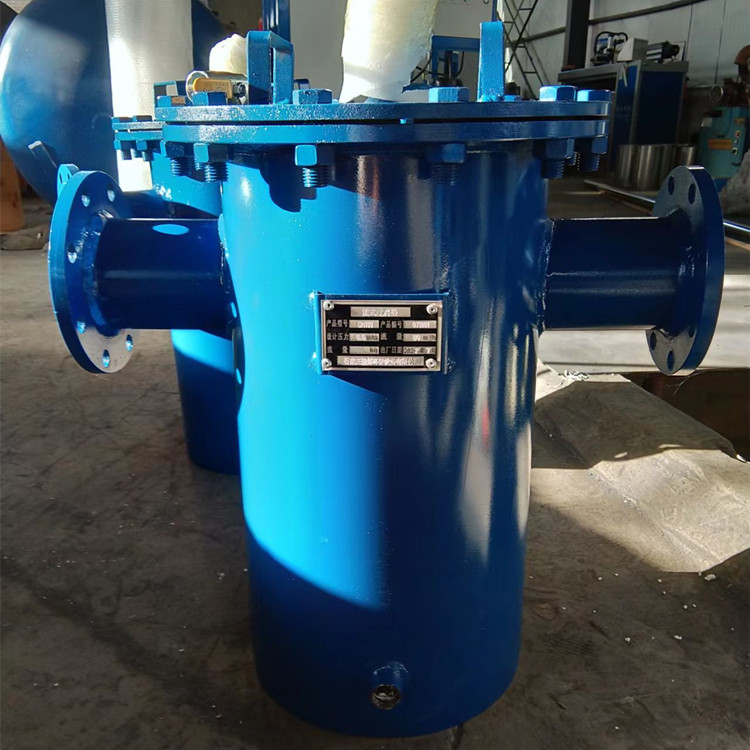 篮式过滤器 毛发过滤器 立式除污器