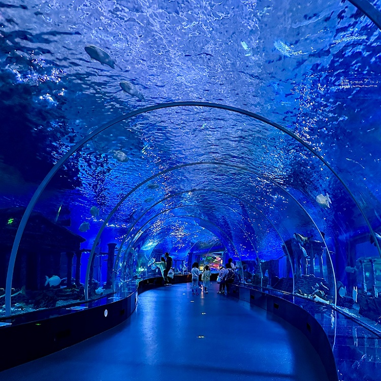 海洋馆建造 海洋馆设计 海洋馆施工 海洋馆造景