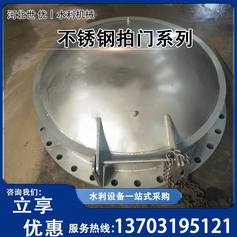 世优水利产品图集 (29)