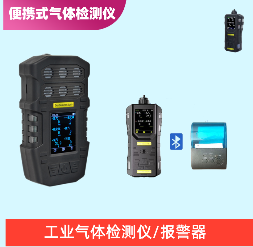 便携式气体检测仪/手持式气体检测报警器 (15)