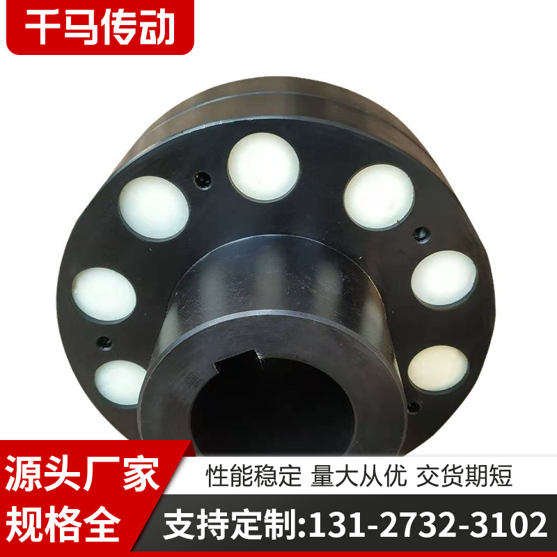 弹性柱销联轴器 (12)