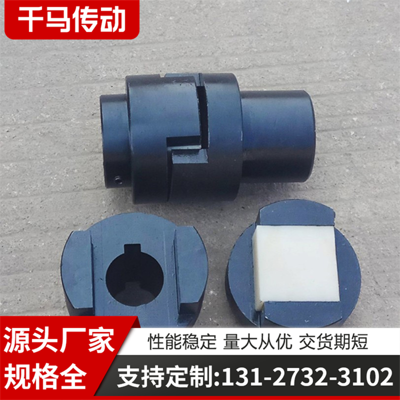 滑块联轴器 (10)