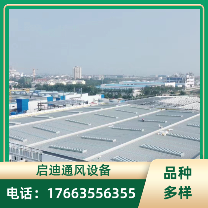 薄型天窗 (10)