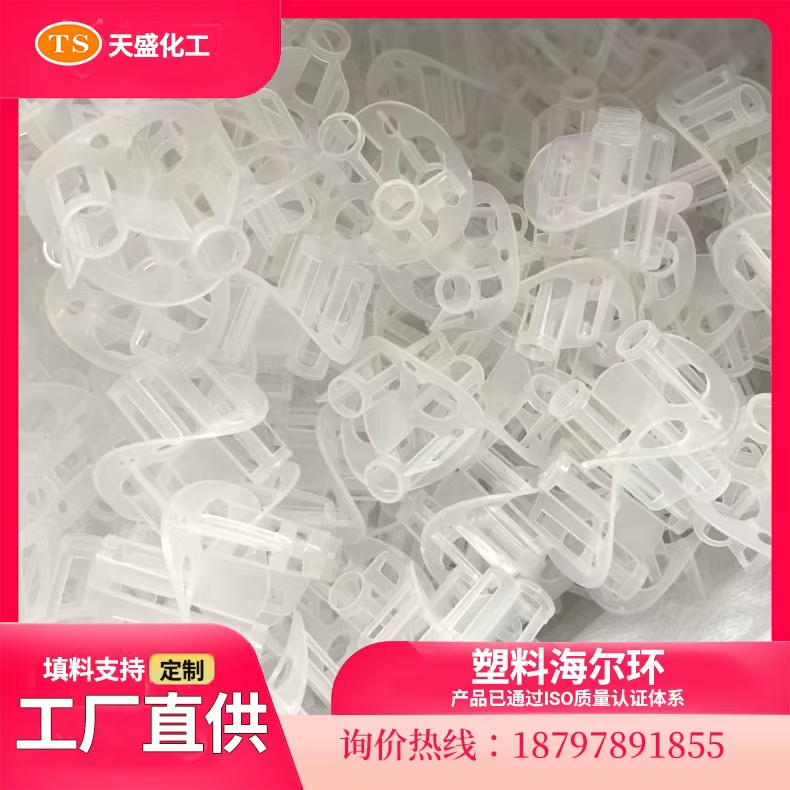 海尔环填料RPP PE PVDF CPVC材质废气净化专用天盛化工