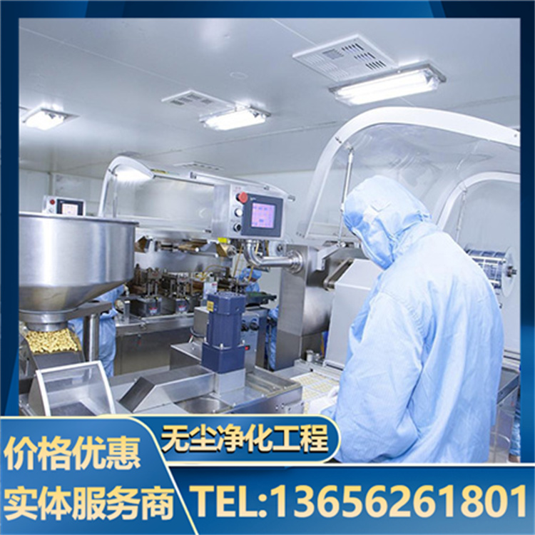 生物制药洁净车间 无尘车间 专业服务 经久耐用