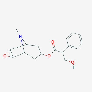 1-23 (4)