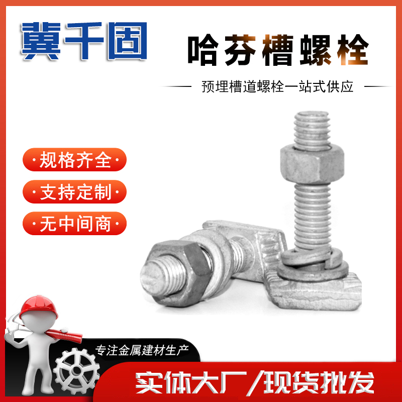 厂家供应碳钢4.8级镀锌T型螺栓 非标t型紧固件定制