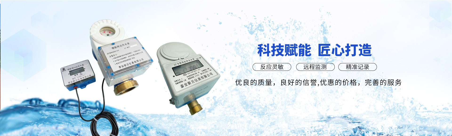 泰安新贝仪表有限公司