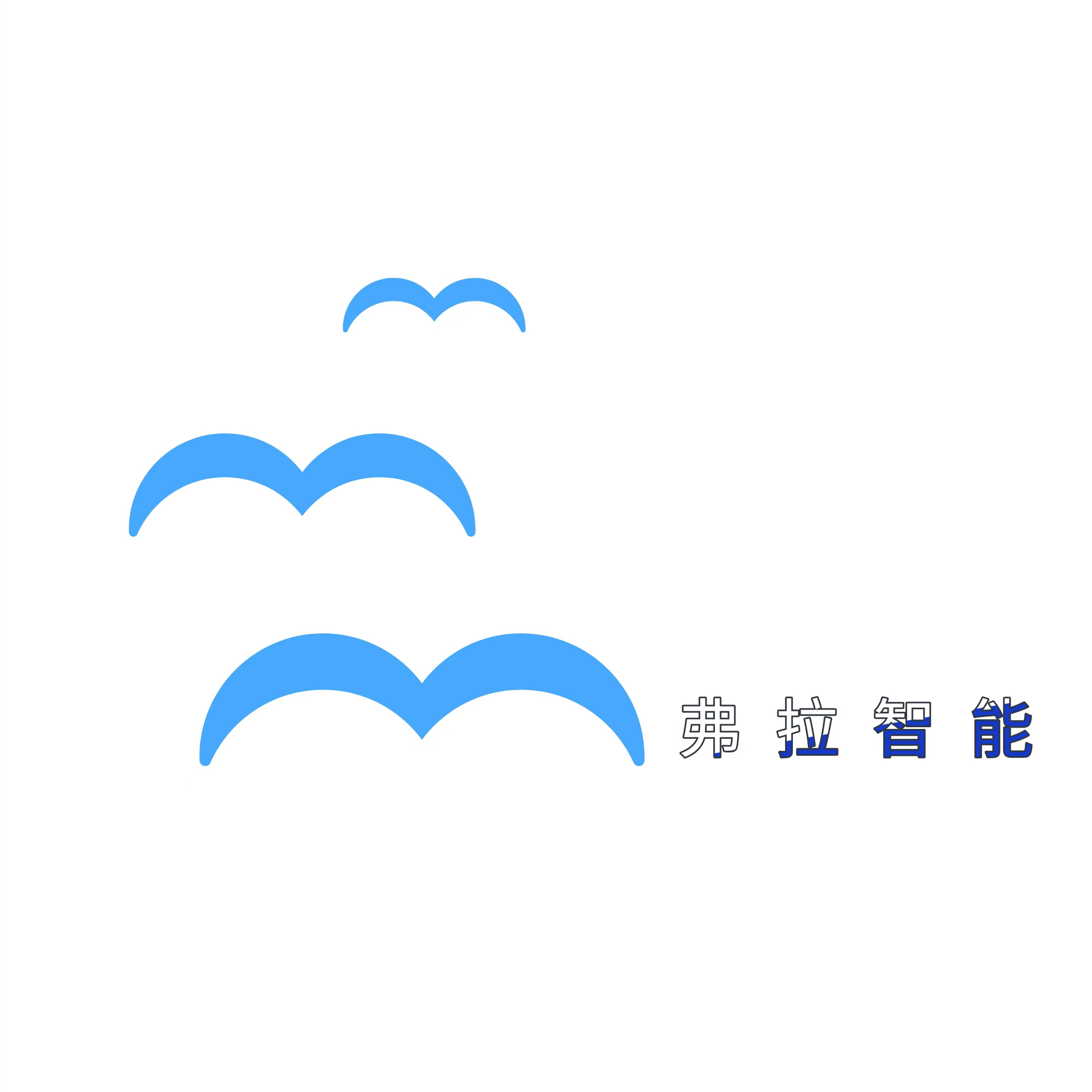 合肥弗拉智能科技有限公司
