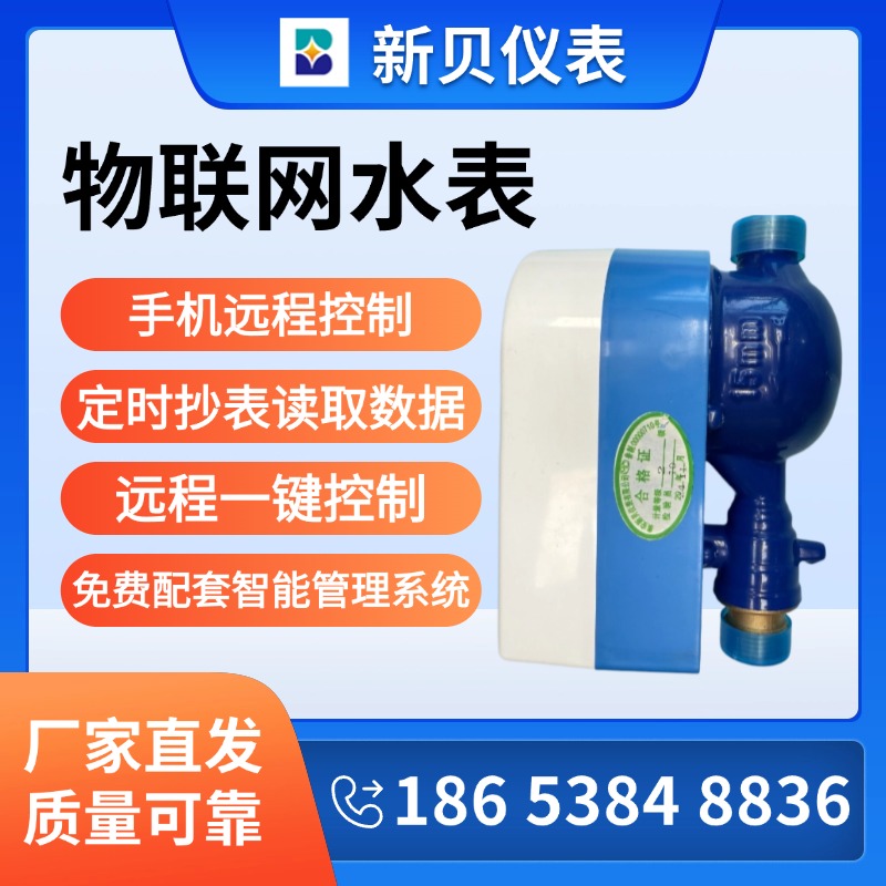 新贝仪表 分体式物联网水表 无线物联网传输大口径
