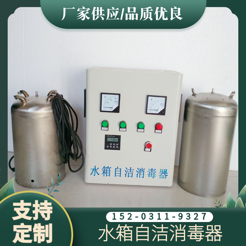 工业级臭氧发生器设备 浙江储水箱消毒器 水箱微电解消毒器