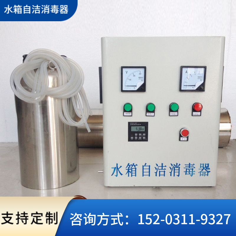 净化除藻臭氧发生器 湖南水箱自洁消毒器 水处理杀菌设备