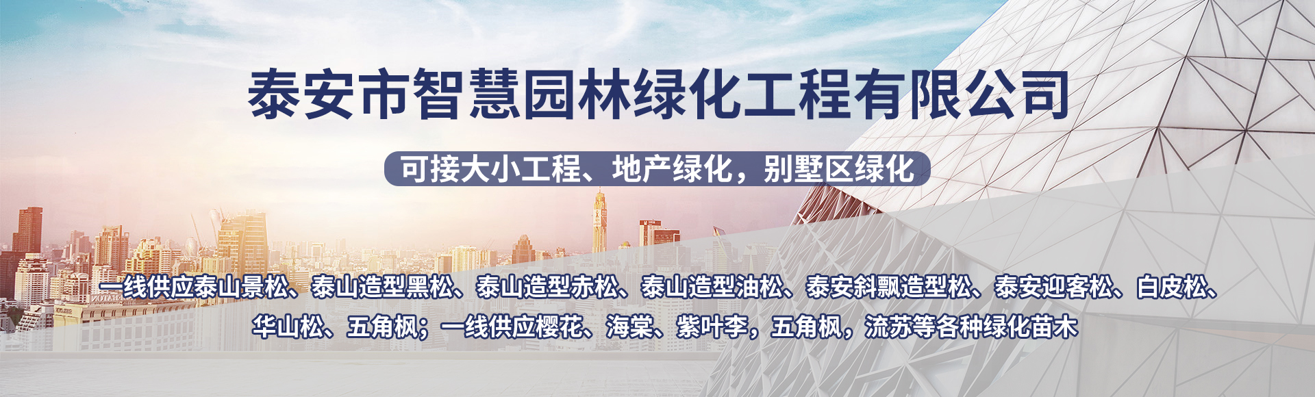 泰安市智慧园林绿化工程有限公司