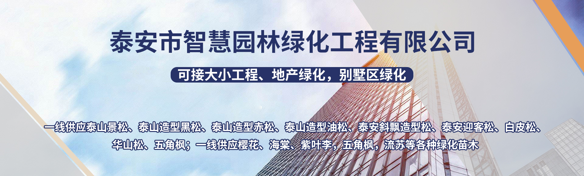 泰安市智慧园林绿化工程有限公司