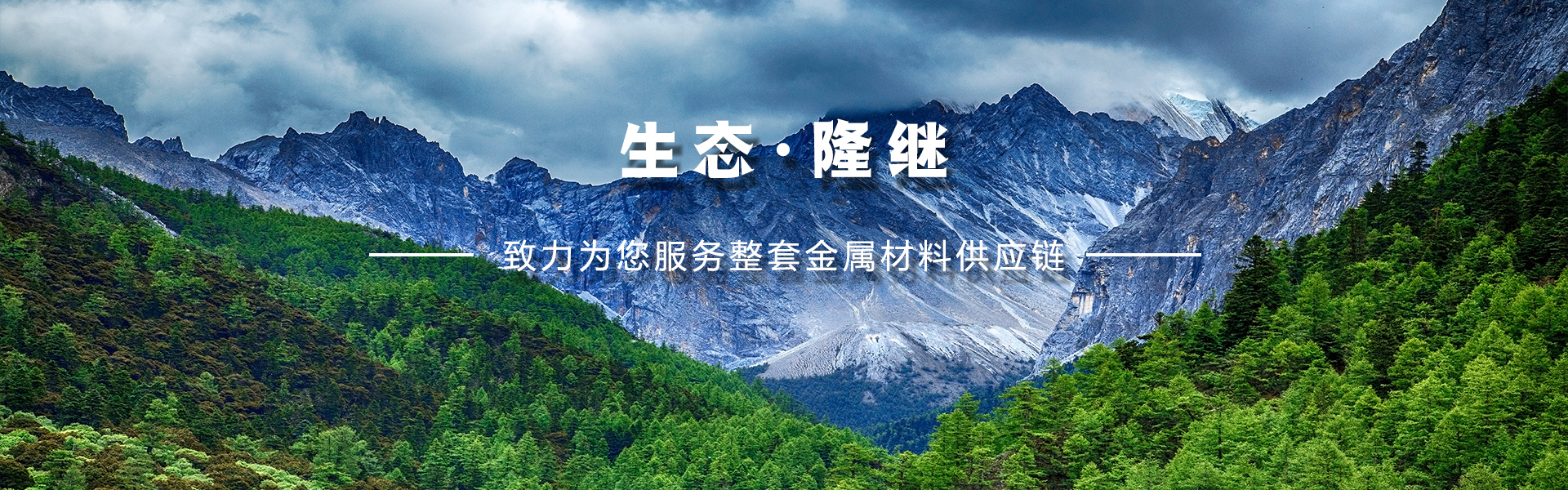 上海隆继金属集团有限公司