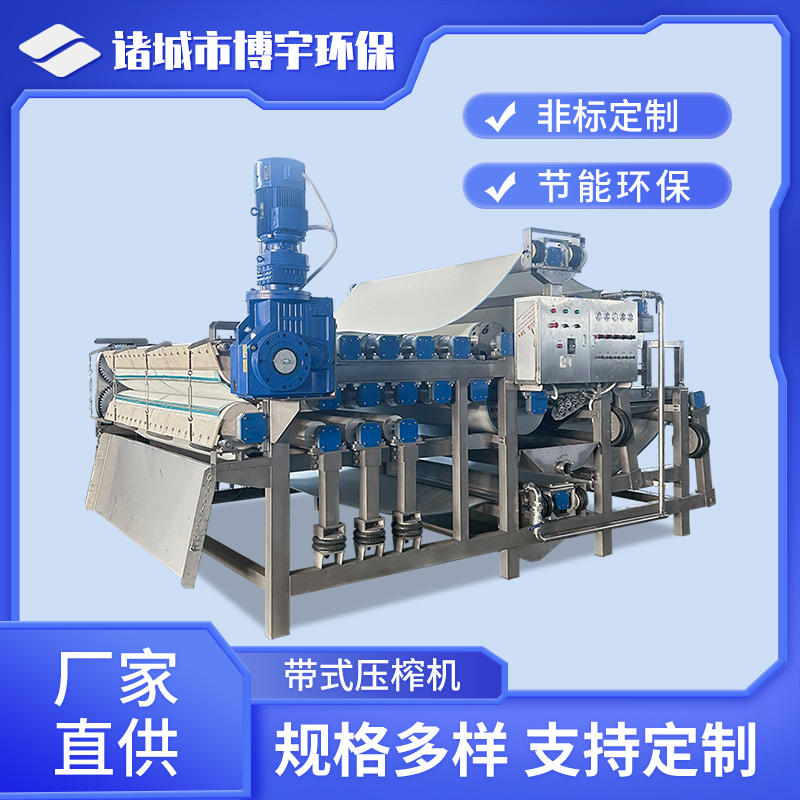 黄桃子压榨脱水机 大型工业破碎压榨机 破壁压榨处理设备 榨汁机 博宇