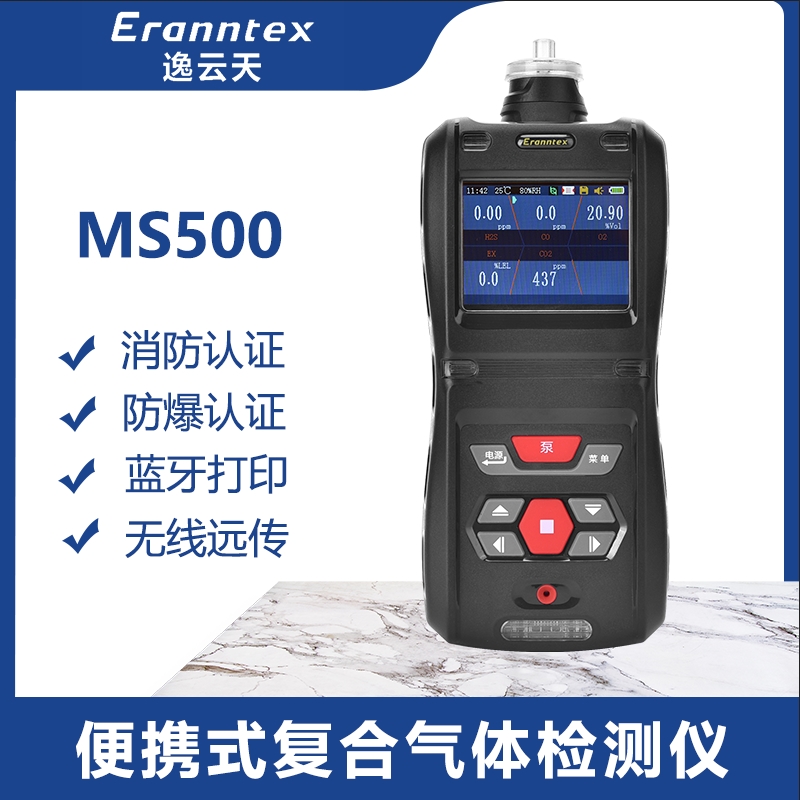 MS500手持式气体检测仪 (35)