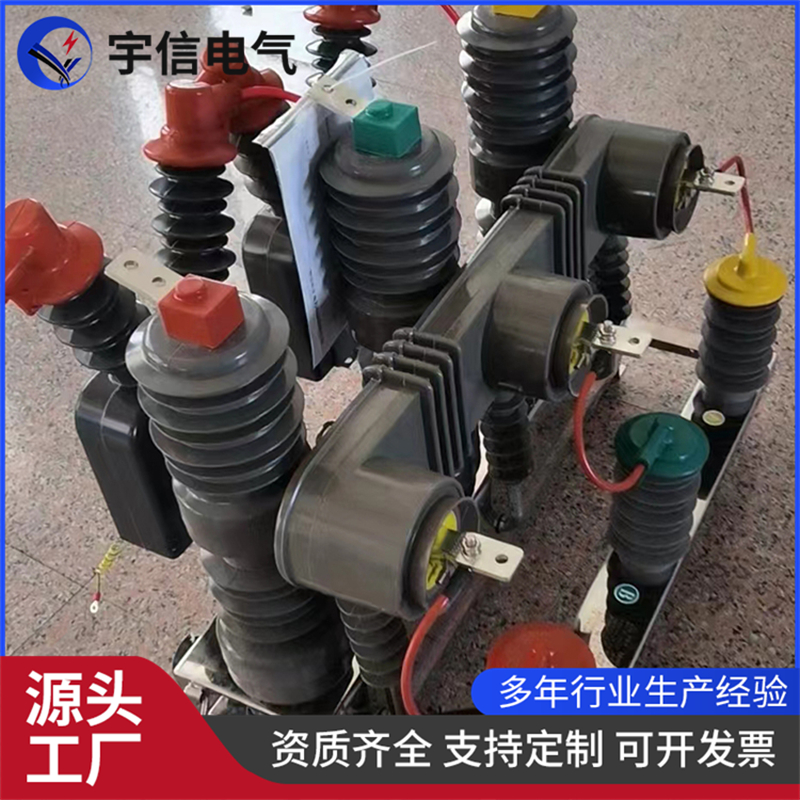 一二次融合真空断路器看门狗互感器柱上分界开关